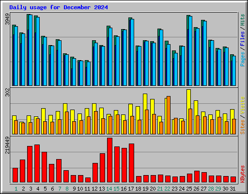 Daily usage for December 2024