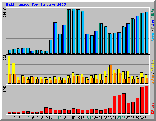 Daily usage for January 2025
