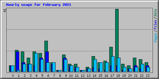 Hourly usage for February 2021