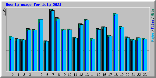 Hourly usage for July 2021
