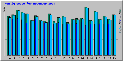 Hourly usage for December 2024