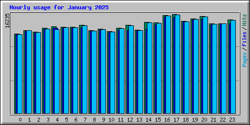 Hourly usage for January 2025