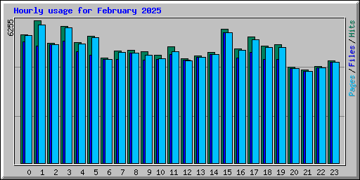 Hourly usage for February 2025