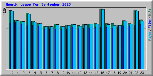 Hourly usage for September 2025