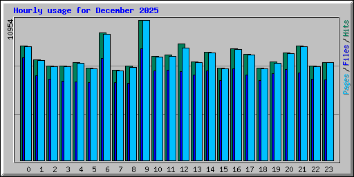 Hourly usage for December 2025