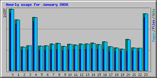 Hourly usage for January 2026